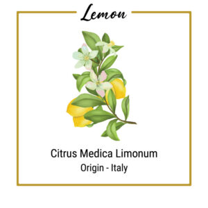 Organic Lemon Plant with Flower