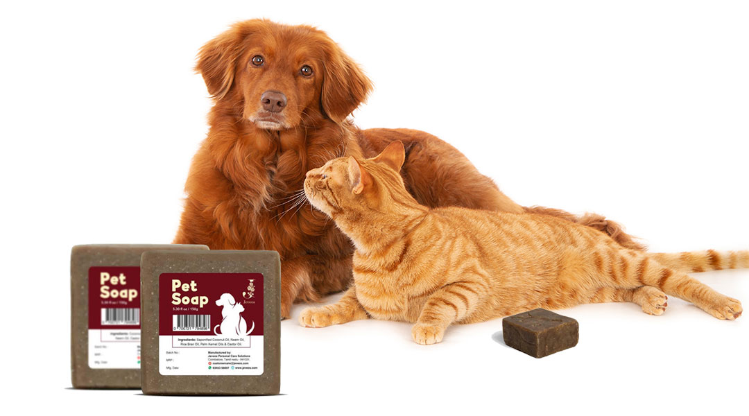 Organic Pet Soap Bars Online